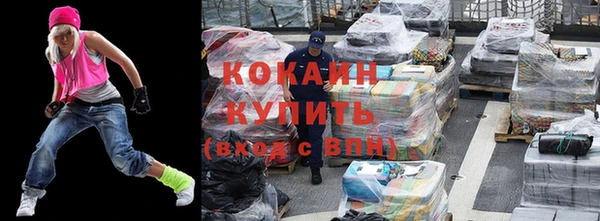 крисы Тында