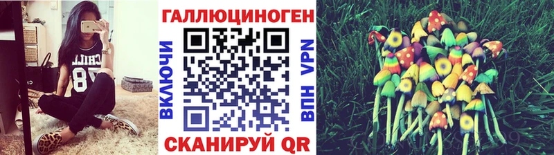 Купить где  Чусовой  Псилоцибиновые грибы GOLDEN TEACHER 